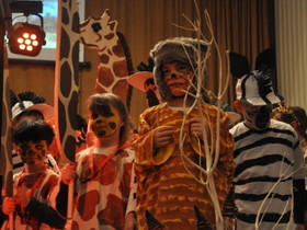 Giraffen, Erdmännchen und Zebra