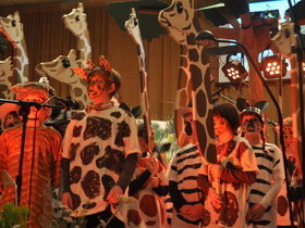 Giraffen, Erdmännchen und Zebras