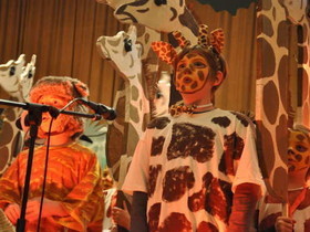 Erdmännchen und Giraffen
