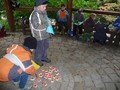 Entdeckungen im Forstbotanischen Garten