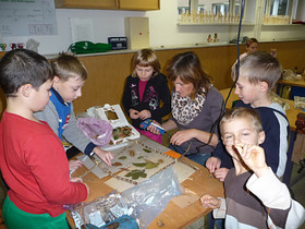 Naturbilderrahmen