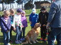 Hundebesuch in unserer Grundschule