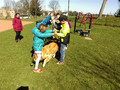 Hundebesuch in unserer Grundschule