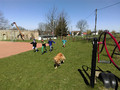 Hundebesuch in unserer Grundschule