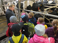 Milchviehanlage Colmnitz