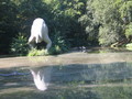 Saurierpark Kleinwelka