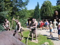 Saurierpark Kleinwelka