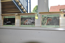 Sprungschilder