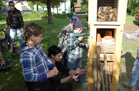 Holzwollefüllung