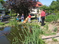 Wasserspiele