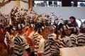 Die Zebras aus dem Afrika-Musical