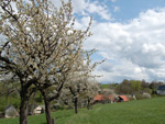 Röthenbach
