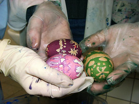 coloured eggs