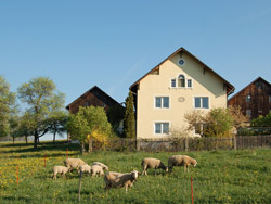 Farmyard in Friedersdorf