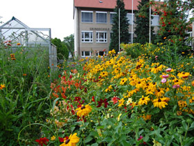 Greenhouse