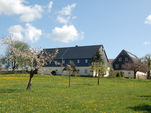 Gewähltes Bild