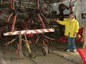 Hay turning machine