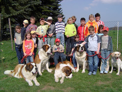 La classe 3b avec quatres saint-bernards