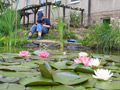 School garden