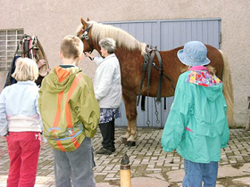 horses