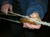 The cords are taken with a piece of wood