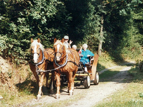 a coach ride